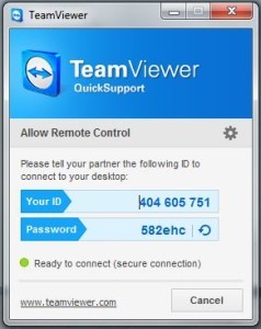 Remote PC Support 